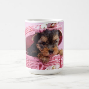 Yorkshire terrier puppy koffiemok