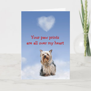 Yorkshire Terrier Puppy Love Kaart
