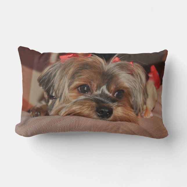 Yorkshire Terrier Puppy Lumbar Pillow Kussen (Voorkant)