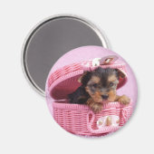 Yorkshire terrier puppy magneet (Voorkant / Achterkant)