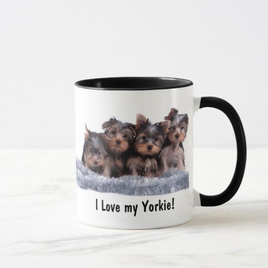 Yorkshire Terrier Puppy Mok (Rechts)