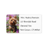 Yorkshire Terrier Puppy Naam Adres Mailing Label (Voorkant)