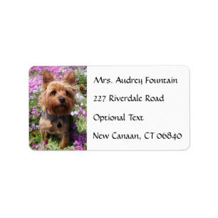 Yorkshire Terrier Puppy Naam Adres Mailing Label