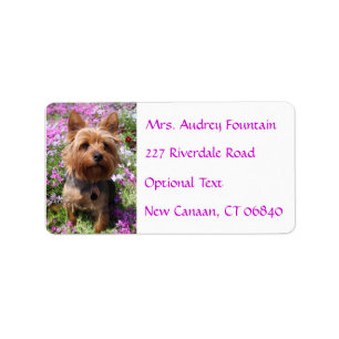 Yorkshire Terrier Puppy Naam Adres Mailing Label