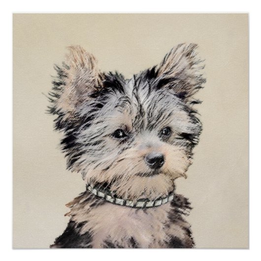 Yorkshire Terrier Puppy Painting Original Dog Art Poster (Voorkant)