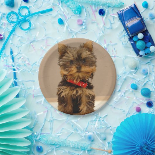 Yorkshire Terrier Puppy Papieren Bordje (Feest)