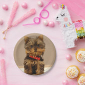 Yorkshire Terrier Puppy Papieren Bordje (Feest)