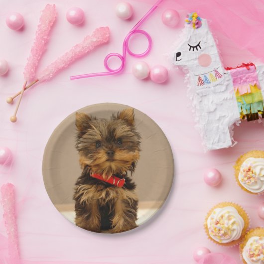 Yorkshire Terrier Puppy Papieren Bordje (Feest)