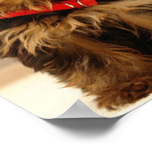 Yorkshire Terrier Puppy Poster (Hoek)