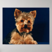 Yorkshire Terrier Puppy Poster (Voorkant)