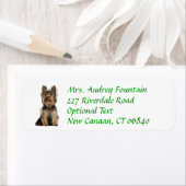 Yorkshire Terrier Puppy Retouradres Label (Insitu)