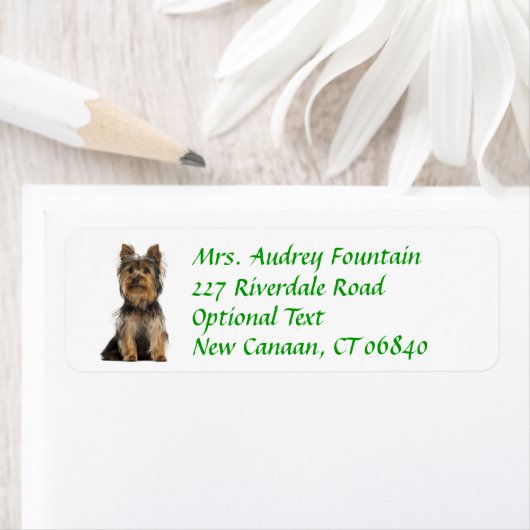 Yorkshire Terrier Puppy Retouradres Label (Insitu)