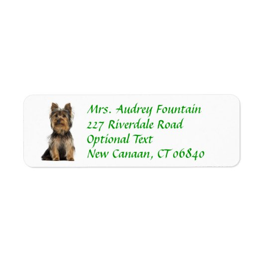 Yorkshire Terrier Puppy Retouradres Label (Voorkant)