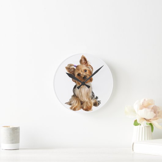 Yorkshire Terrier Puppy Ronde Klok (Huis)