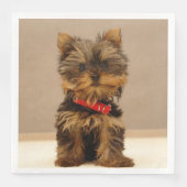 Yorkshire Terrier Puppy Servet (Voorkant)