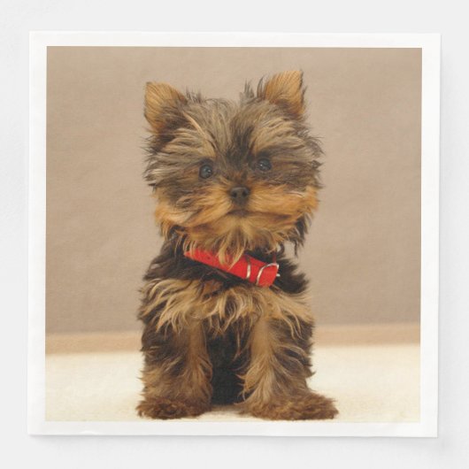 Yorkshire Terrier Puppy Servet (Voorkant)