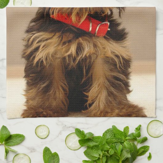 Yorkshire Terrier Puppy Theedoek (Gevouwen)