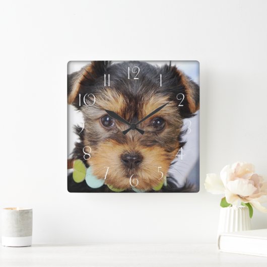 Yorkshire Terrier Puppy Vierkante Klok (Huis)