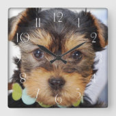 Yorkshire Terrier Puppy Vierkante Klok (Voorkant)