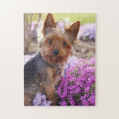 Yorkshire Terrier puzzel (Verticaal)