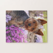 Yorkshire Terrier puzzel Legpuzzel (Horizontaal)