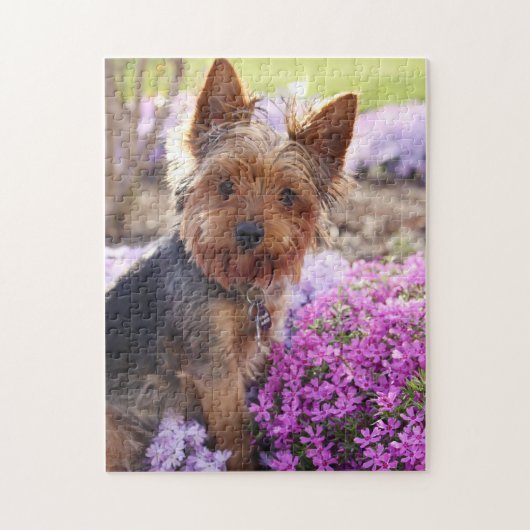 Yorkshire Terrier puzzel Legpuzzel (Verticaal)