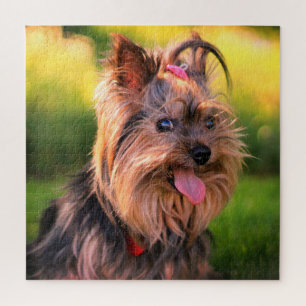 Yorkshire Terrier Puzzle Legpuzzel