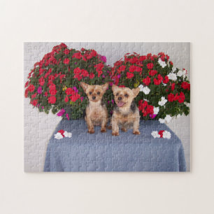 Yorkshire Terrier Puzzle Legpuzzel