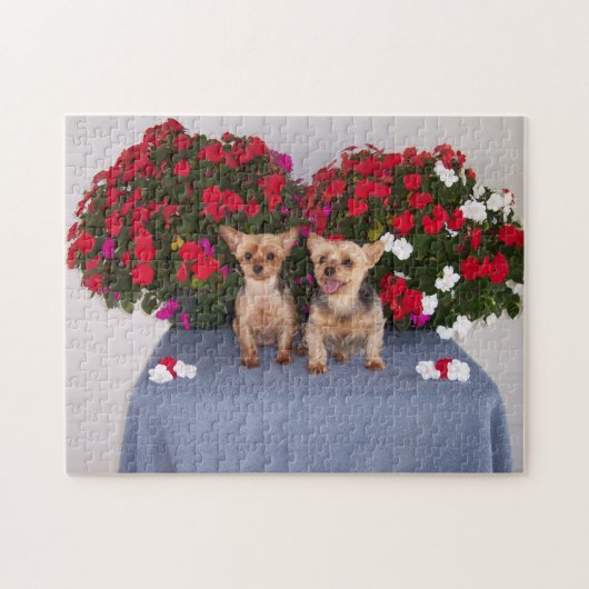 Yorkshire Terrier Puzzle Legpuzzel (Horizontaal)