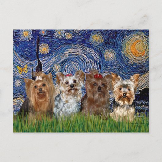 Yorkshire Terrier Quad - Sterrennacht Briefkaart (Voorkant)