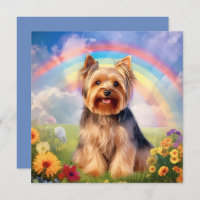 Yorkshire Terrier Rainbow Bridge Yorkie Sympathie