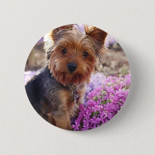 Yorkshire Terrier Ronde Button 5,7 Cm (Voorkant)