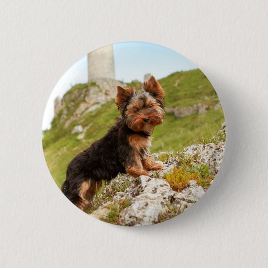 Yorkshire Terrier Ronde Button 5,7 Cm (Voorkant)