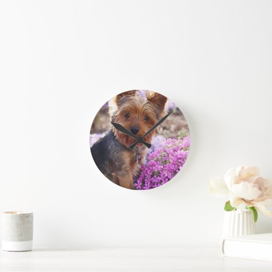 Yorkshire Terrier Ronde Klok (Huis)