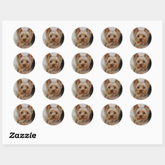 Yorkshire Terrier Ronde Sticker (Vel)