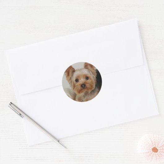 Yorkshire Terrier Ronde Sticker (Envelop)