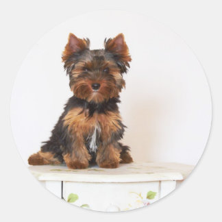 Yorkshire Terrier Ronde Sticker