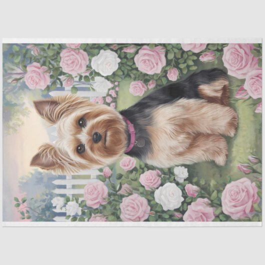 Yorkshire Terrier Roos Tuinschilderij Decoupage Tissuepapier (Voorkant)