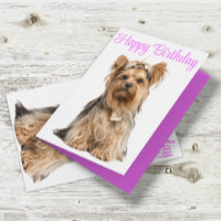 Yorkshire Terrier Roze Cute Yorkie Gefeliciteerd