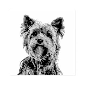 Yorkshire Terrier Rubberstempel