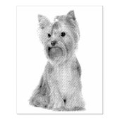 Yorkshire Terrier Rubberstempel (Afrduk)