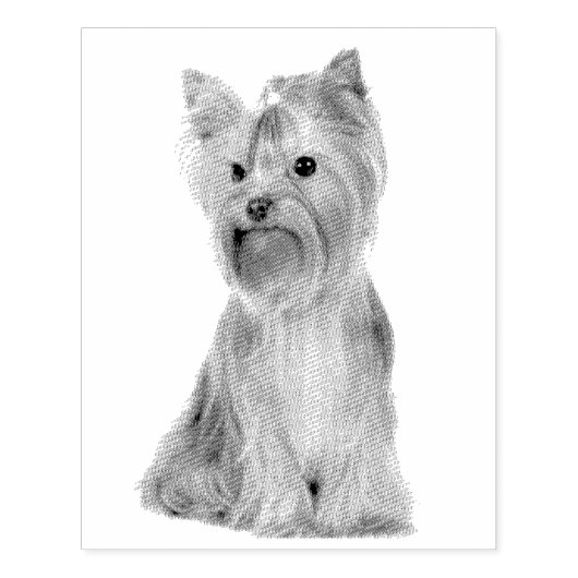 Yorkshire Terrier Rubberstempel (Afrduk)