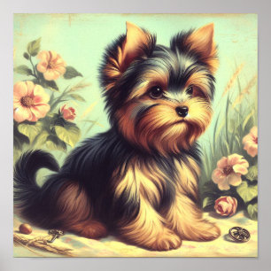 Yorkshire Terrier schilderij Poster