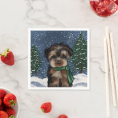 YORKSHIRE TERRIËR SERVET (Insitu)