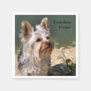 Yorkshire Terrier Servetten