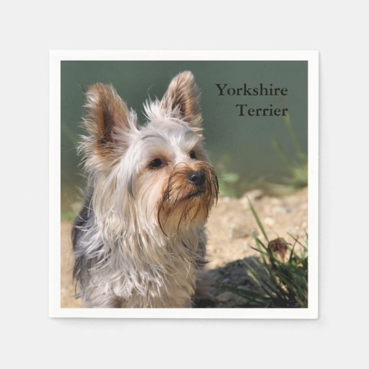 Yorkshire Terrier Servetten (Voorkant)