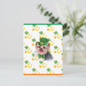 Yorkshire Terrier Shamrock St. Patricks Dag Feestdagenkaart (Staand voorkant)