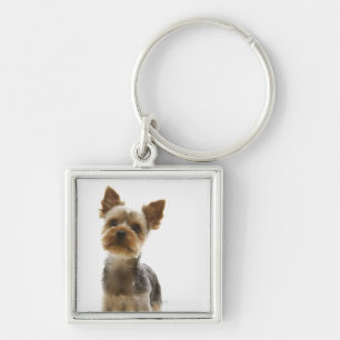 Yorkshire Terrier Sleutelhanger