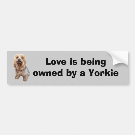 Yorkshire Terrier So Cute Bumpersticker (Voorkant)