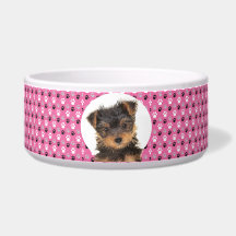 Yorkshire Terrier Specialized Photo & Name Dog